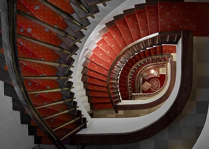 골드너 그라이프 4*