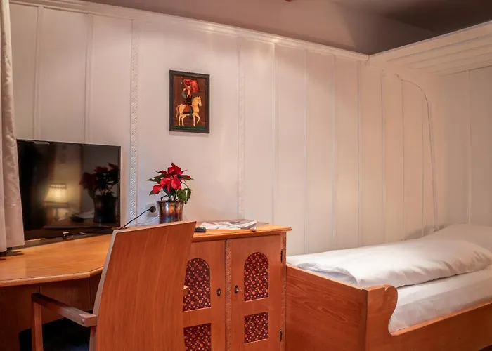 골드너 그라이프 4*